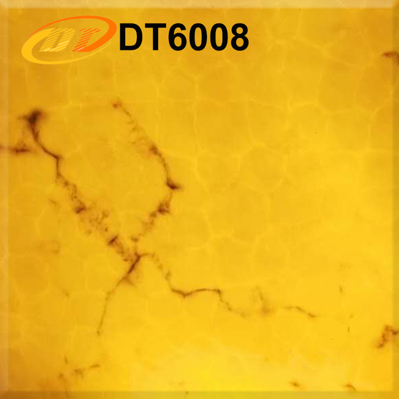 DT6008