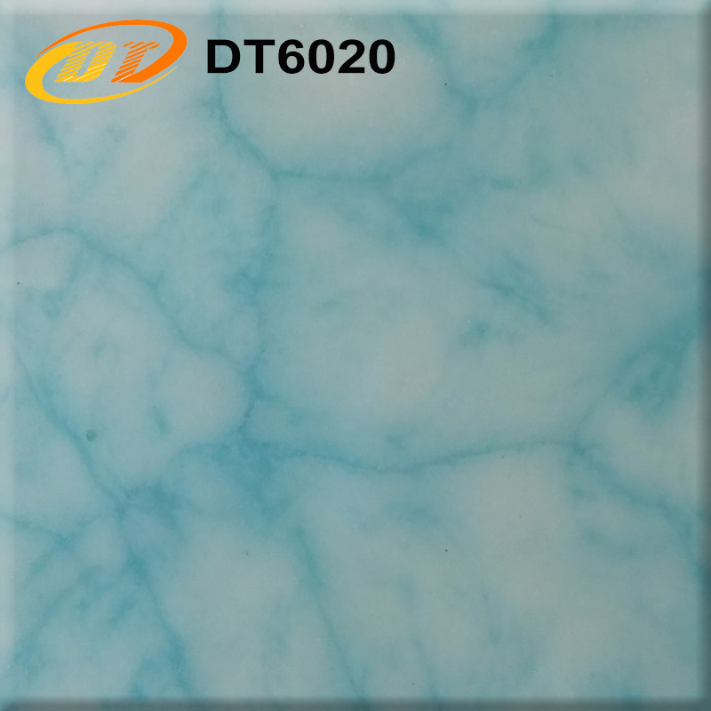 DT6020