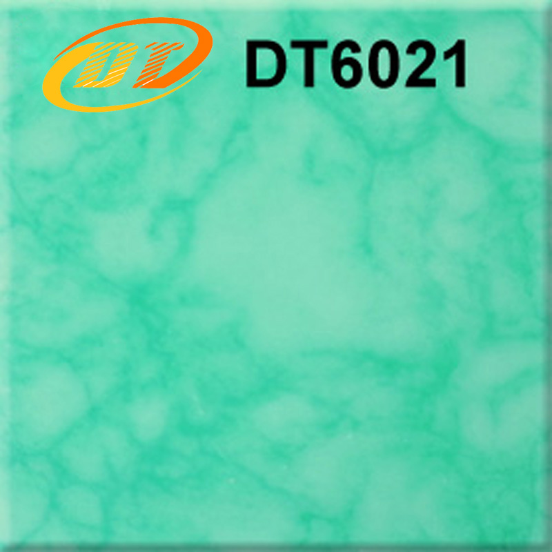 DT6021