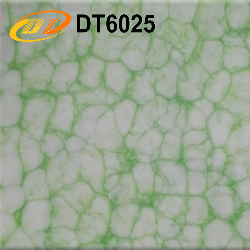 DT6025