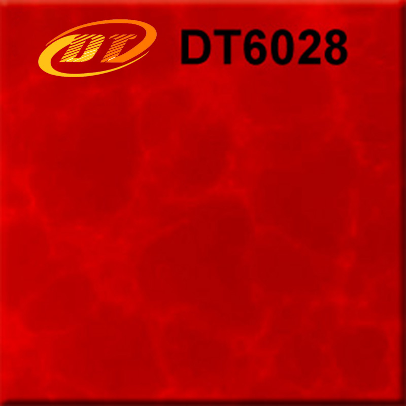 DT6028