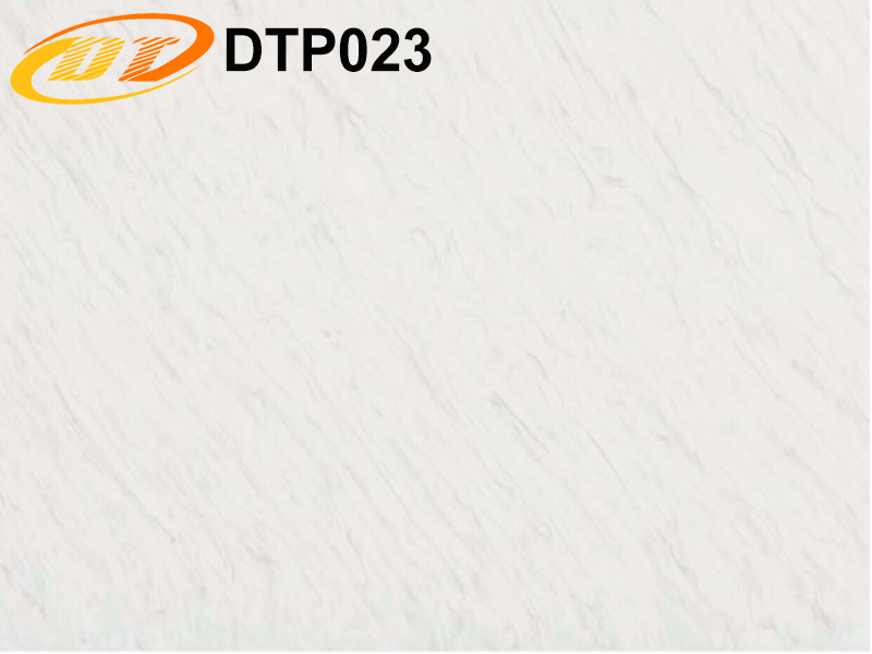 DTP023