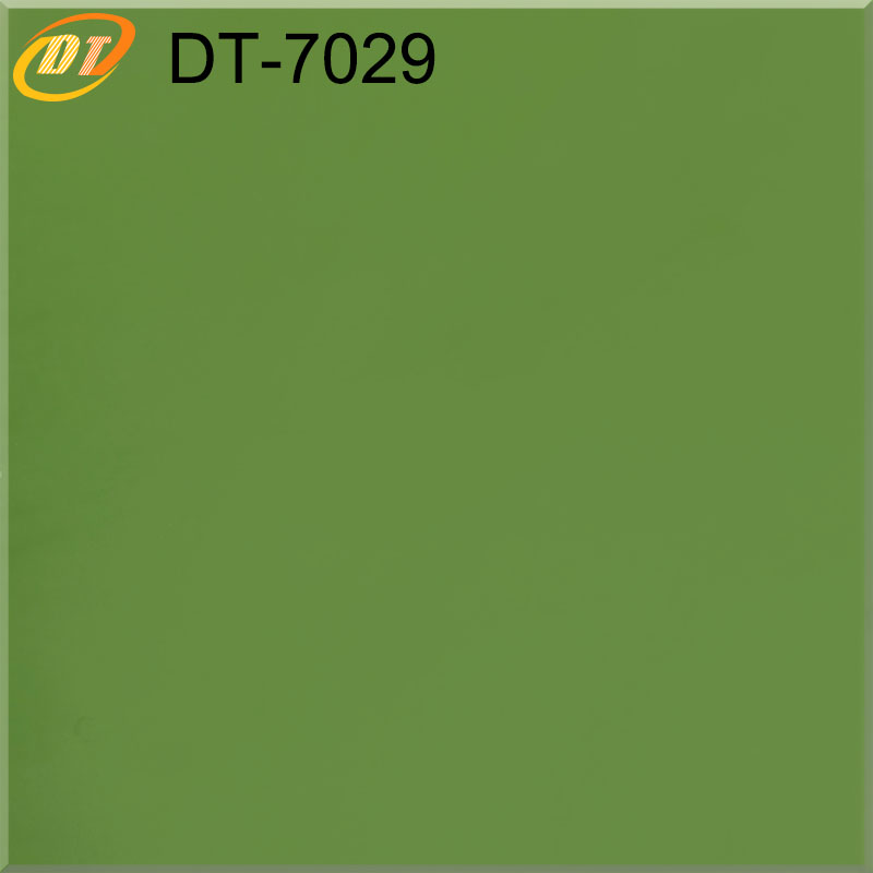 DT7029