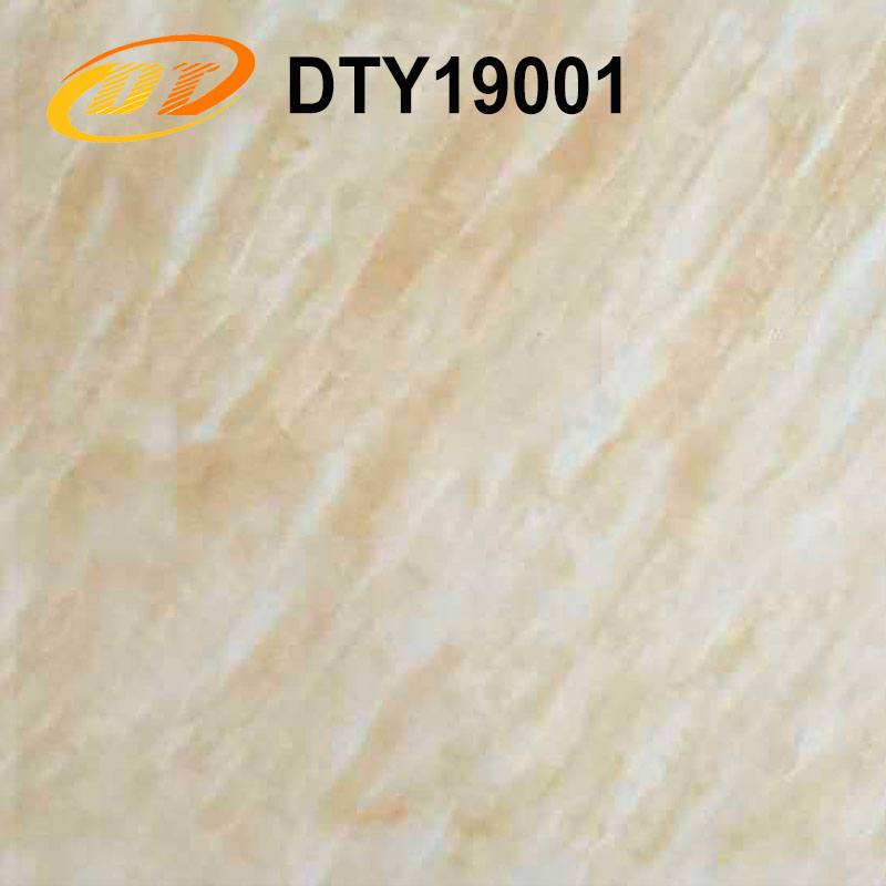 DTY19001