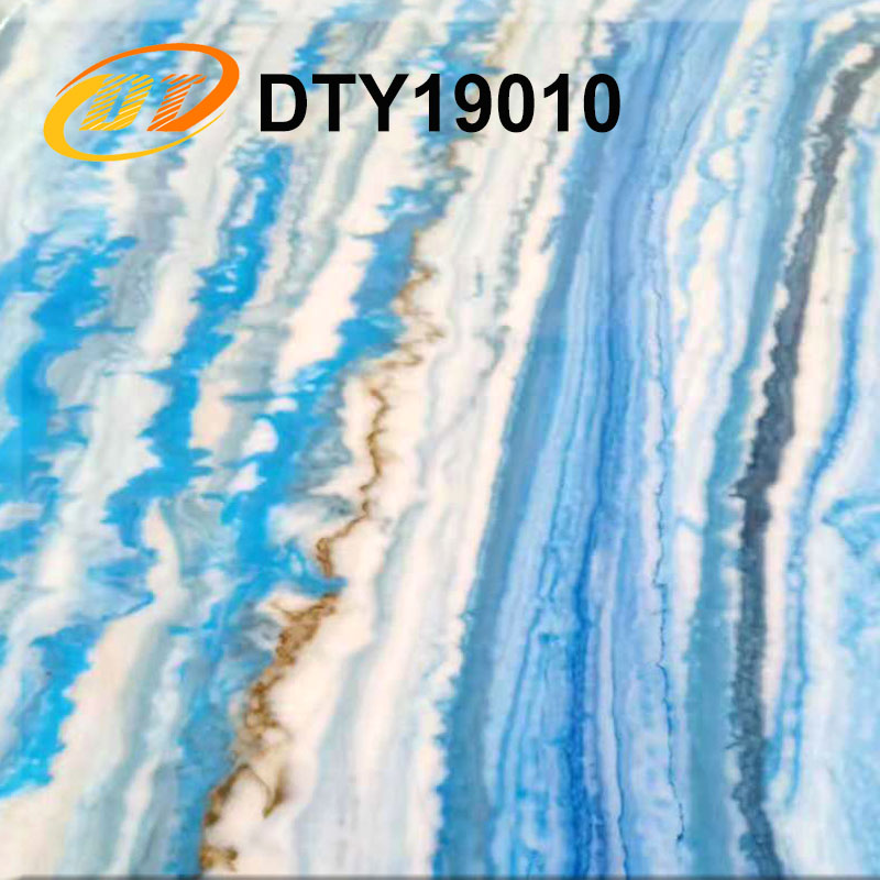 DTY19010