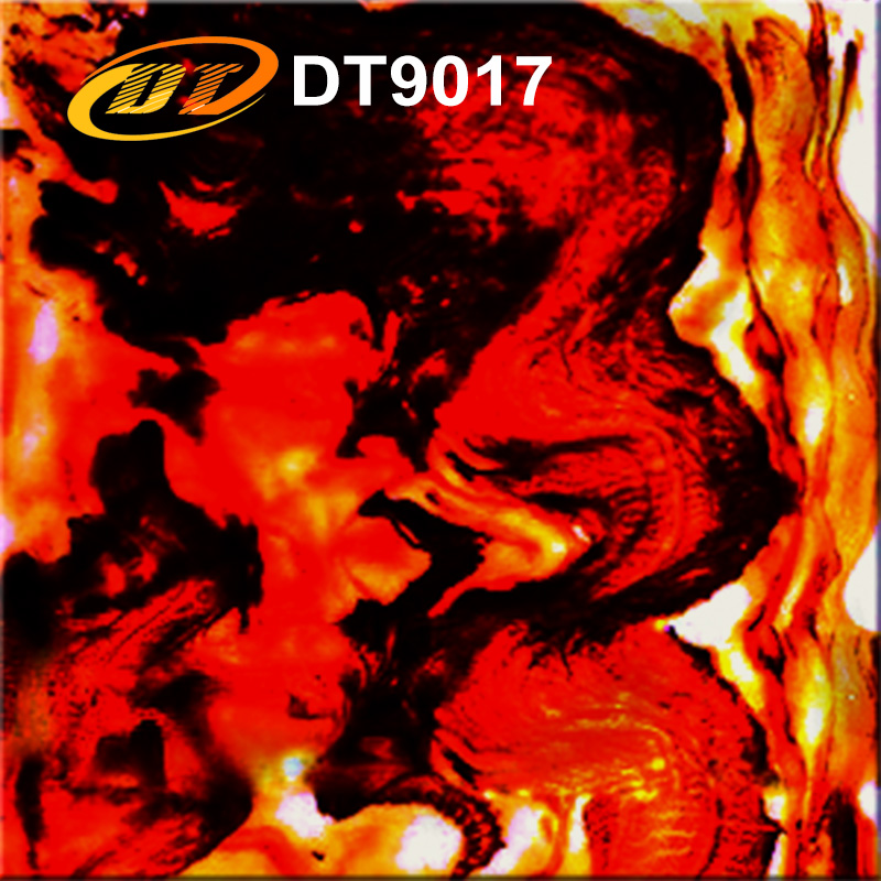 DT9017