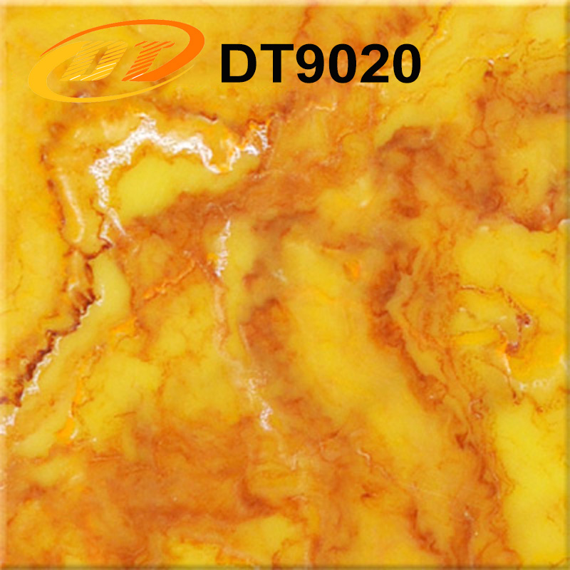 DT9020