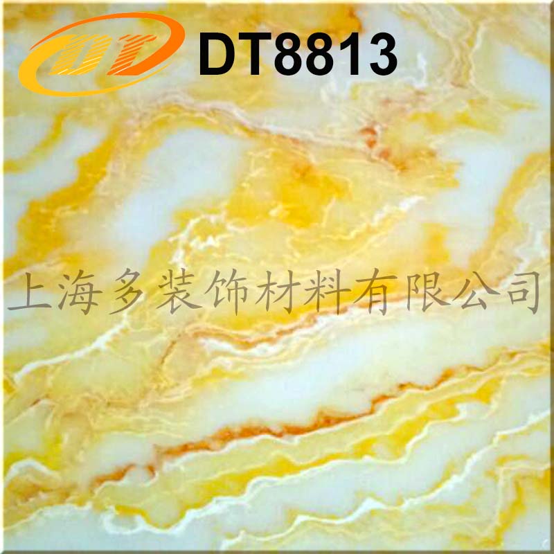 DT8813